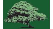 Raintree Technology Group, Inc.